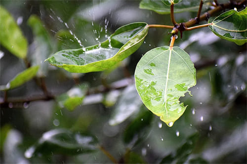 雷雨天氣